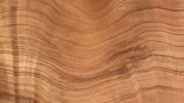 Redwood wood grain