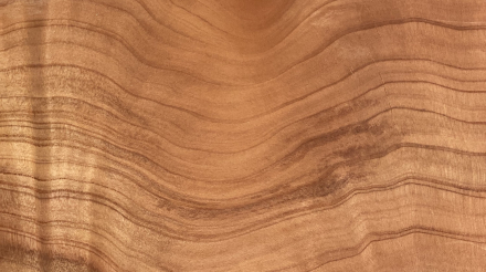 Redwood wood grain