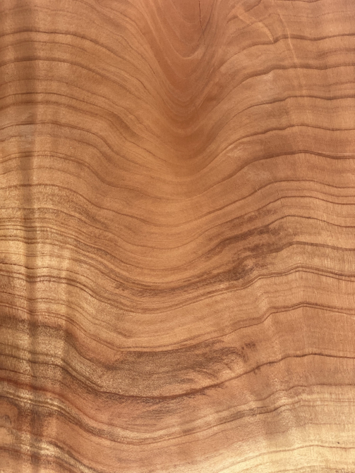 Redwood wood grain